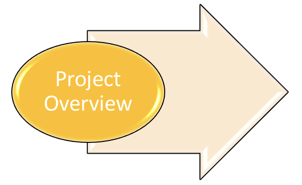 Project Overview