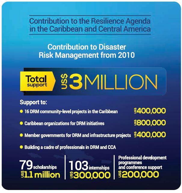 Contribution to Disaster Risk Management Since 2010-2019