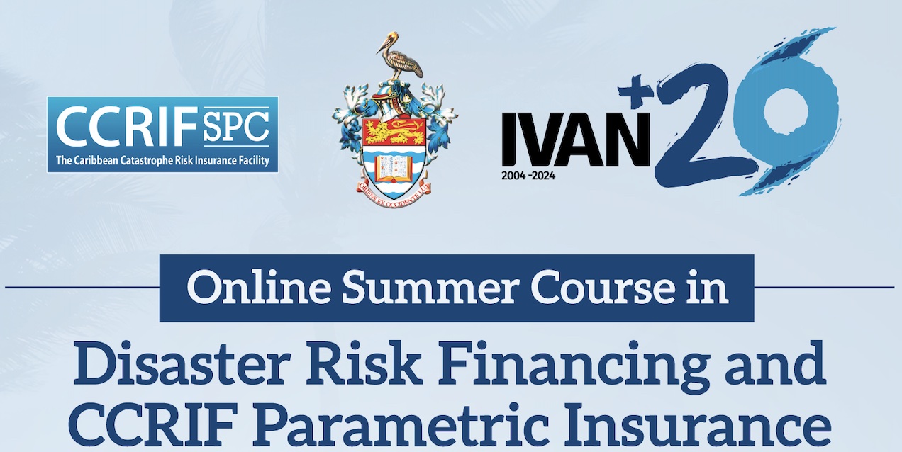 Online Summer Course - Understanding DRF 2024