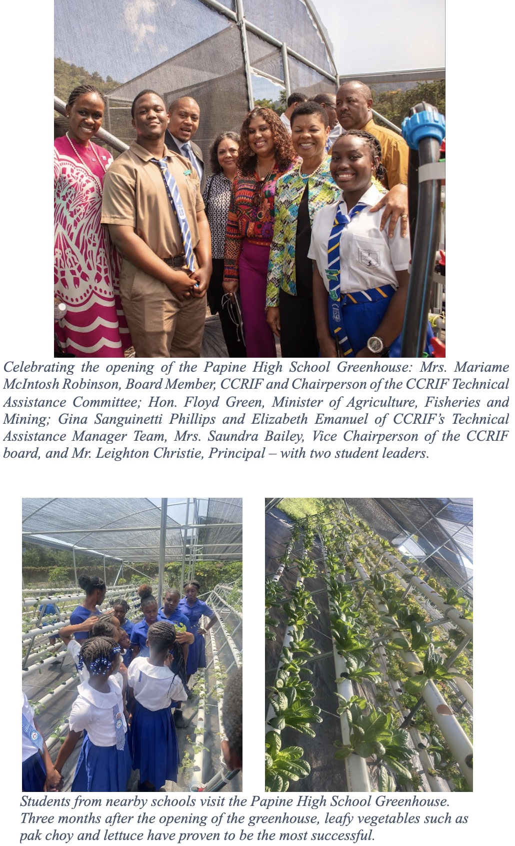 CCRIF Provides US$25,000 for Construction of Greenhouse at Papine High School, Jamaica