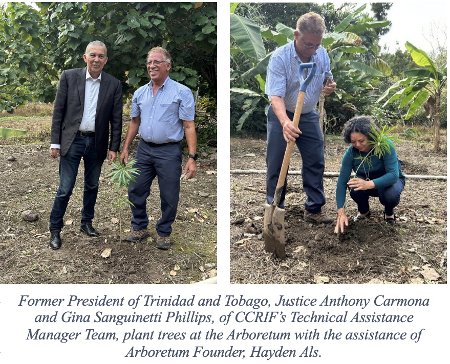 We Planted Trees in Trinidad, February 2025 