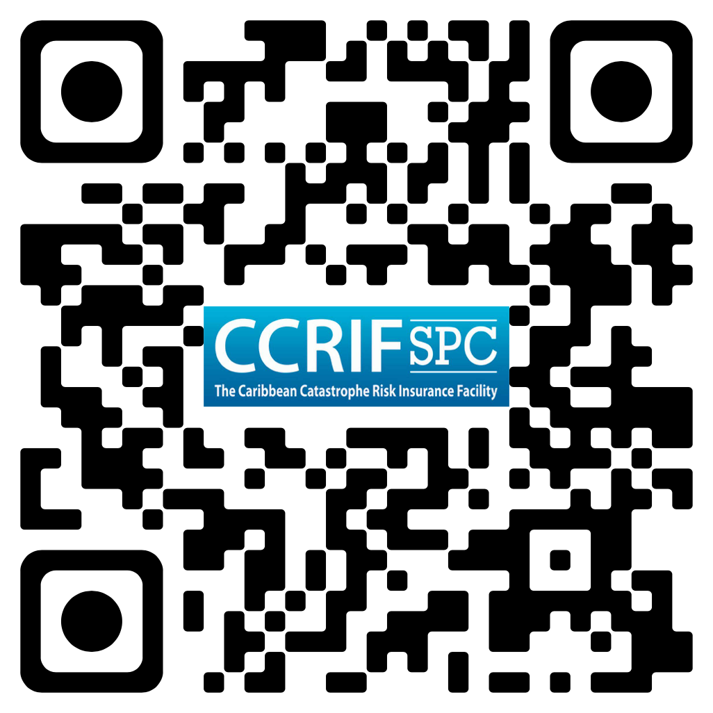 Ivan +20 QR Code