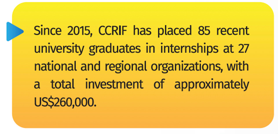 Regional Internship Programme 2015-2018