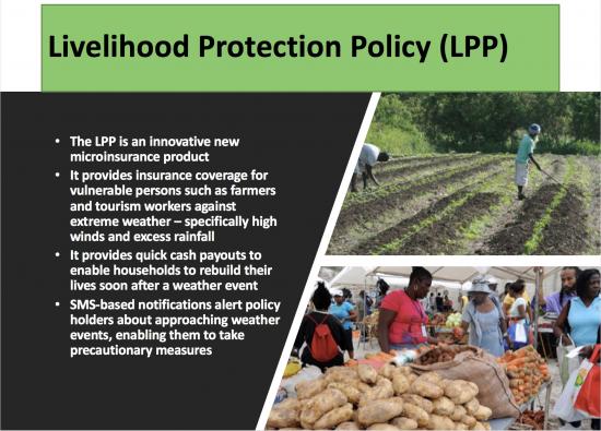Livelihood Protection Policy (LPP)