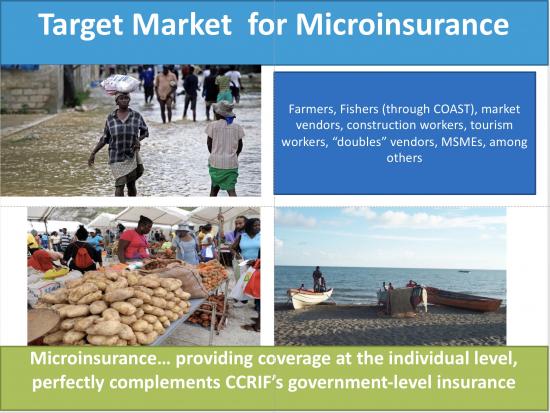 Target Market for Microinsurance