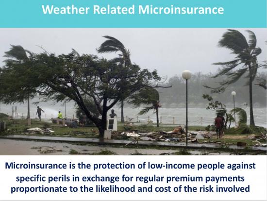 Weather Related Microinsurance