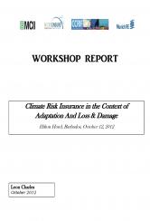 Workshop Report - Climate Risk Insurance Context Adaptation Loss Damage